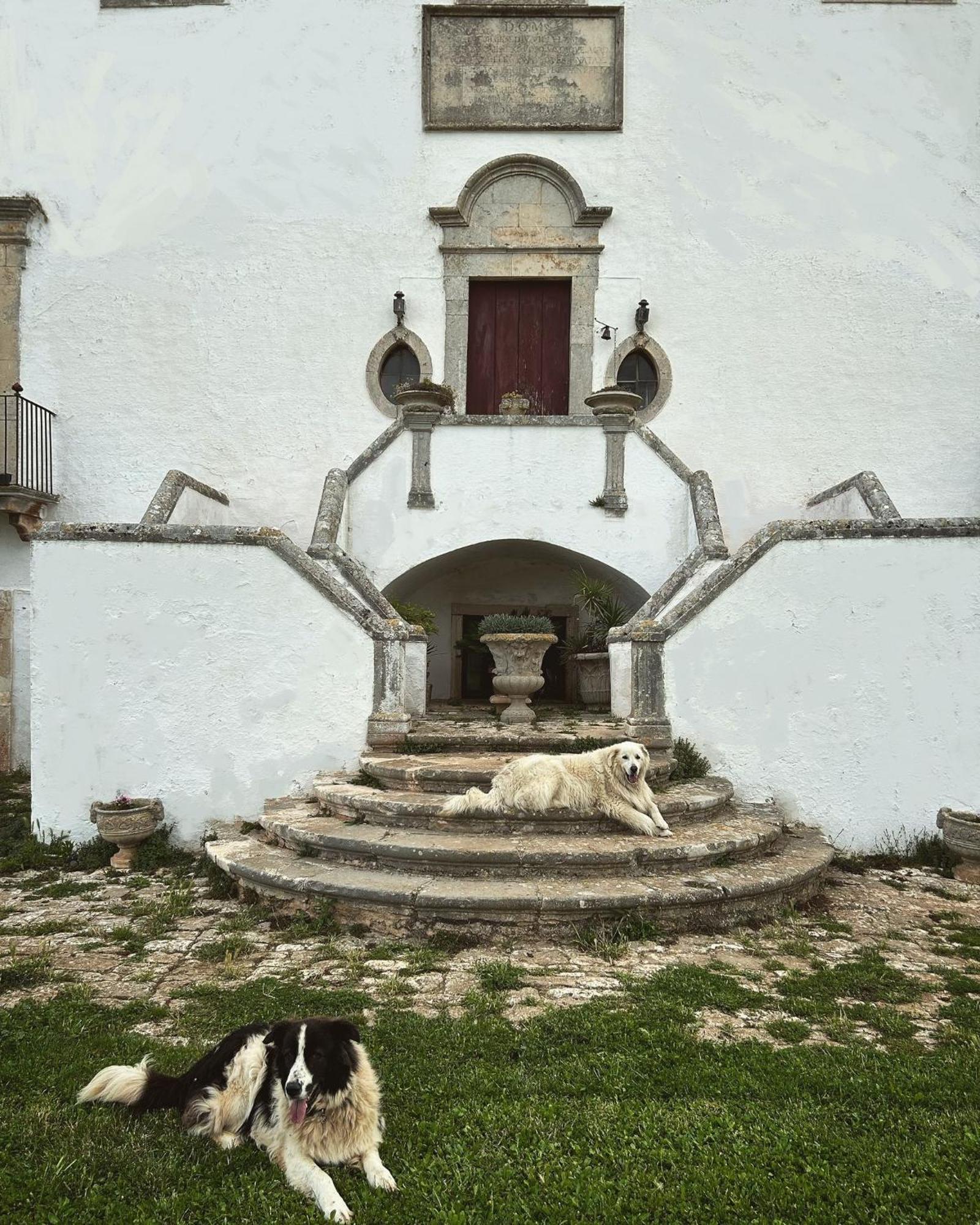 Masseria Murgia Albanese Noci Exterior foto