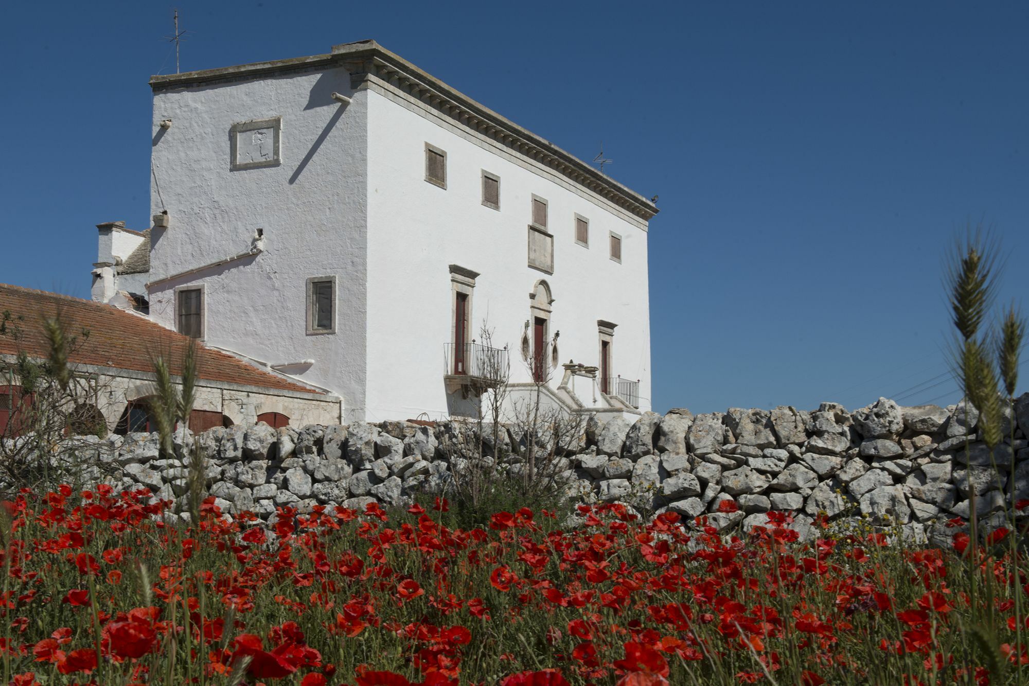 Masseria Murgia Albanese Noci Exterior foto